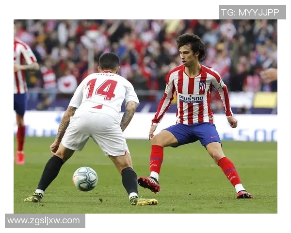 菲利克斯足球球星卡价格走势分析及投资潜力解读